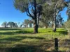 415 Kilmarnock Road, Berrigan, NSW 2712-Image
