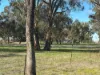 415 Kilmarnock Road, Berrigan, NSW 2712-Image