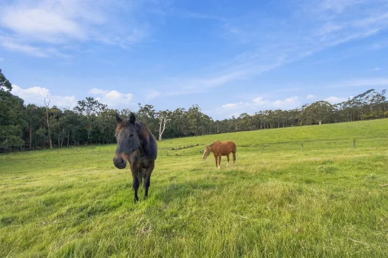 415 Traralgon-Balook Road, Callignee, Vic 3844-Image