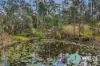 416 Curra Estate Road, Curra, Qld 4570-Image