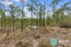 416 Curra Estate Road, Curra, Qld 4570-Image