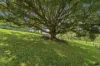 4160 Giinagay Way, Urunga, NSW 2455-Image