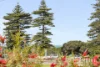 416B South Terrace, South Fremantle, WA 6162-Image