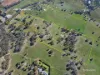 4180 Olympic HWY, Young, NSW 2594-Image