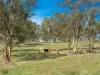 4180 Olympic HWY, Young, NSW 2594-Image
