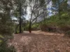 419 - 421 Freycinet Drive, Coles Bay, Tas 7215-Image