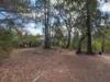 419 - 421 Freycinet Drive, Coles Bay, Tas 7215-Image