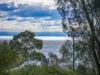 419 - 421 Freycinet Drive, Coles Bay, Tas 7215-Image