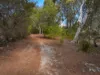 419 - 421 Freycinet Drive, Coles Bay, Tas 7215-Image