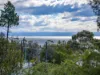 419 - 421 Freycinet Drive, Coles Bay, Tas 7215-Image