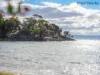 419 - 421 Freycinet Drive, Coles Bay, Tas 7215-Image