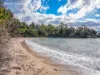 419 - 421 Freycinet Drive, Coles Bay, Tas 7215-Image