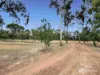 419 Chinchila Tara Road, Chinchilla, Qld 4413-Image