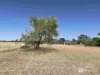 419 Chinchila Tara Road, Chinchilla, Qld 4413-Image