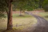 419 Russells Road, Pine Mountain, Qld 4306-Image