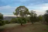 419 Russells Road, Pine Mountain, Qld 4306-Image