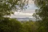 419 Russells Road, Pine Mountain, Qld 4306-Image