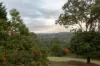 419 Russells Road, Pine Mountain, Qld 4306-Image