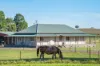 4195 Belubula Way, Canowindra, NSW 2804-Image
