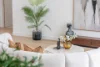 41A Moonya Road, Carnegie, Vic 3163-Image
