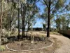 42-46 High Street, Berrigan, NSW 2712-Image