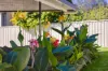 42 Abel Tasman Drive, Lake Cathie, NSW 2445-Image
