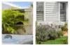 42 Andante Crescent, Palmview, Qld 4553-Image