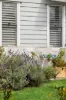 42 Andante Crescent, Palmview, Qld 4553-Image