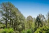 42 Basil Road, Nimbin, NSW 2480-Image