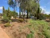42 Bogan Street, Bogan Gate, NSW 2876-Image