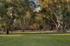 42 Braddock Road, Wellard, WA 6170-Image