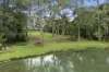 42 Coorabin Court, Tallebudgera, Qld 4228-Image