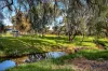 42 Coppleridge Drive, Elizabeth Vale, SA 5112-Image