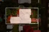 42 Disraeli Street, Indooroopilly, Qld 4068-Image