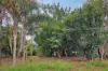 42 Emerald Street, Marsden, Qld 4132-Image
