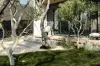 42 Fellows Road, Point Lonsdale, Vic 3225-Image