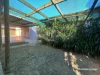 42 Field Street, Shepparton, Vic 3630-Image