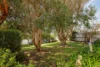42 First Avenue, Cape Woolamai VIC 3925-Image