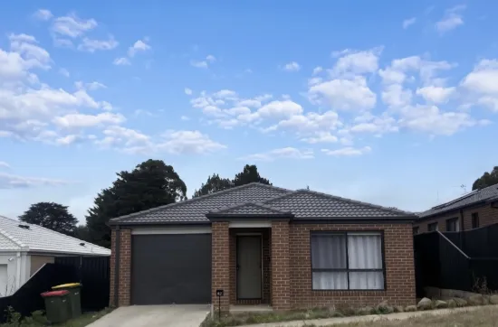 42 Fraser Street, Mount Pleasant, Vic 3350