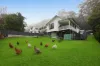 42 Freemans Road, Lower Beechmont, Qld 4211-Image