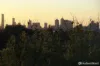 42 Havelock Road, Hawthorn East, Vic 3123-Image