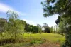 42 Hornsby Street, Maldon, Vic 3463-Image