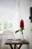 42 Johnston Road, Eltham, NSW 2480-Image