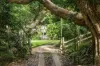 42 Johnston Road, Eltham, NSW 2480-Image