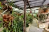 42 Jupiter Drive, Australind, WA 6233-Image