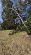 42 Kay Street, Scarborough, WA 6019-Image