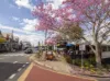 42 Kennedy Terrace, Paddington, Qld 4064-Image