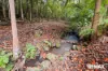 42 Lachlan Avenue, Nambour, Qld 4560-Image