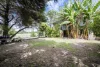 42 Mackay Street, South Grafton, NSW 2460-Image