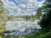 42 Margery Street, Thornlands, Qld 4164-Image
